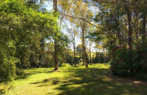 Malanda House | AAK cabin - standalone riverfront cabin