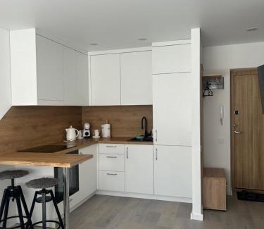 Lithuania Apartment | AB Apartment