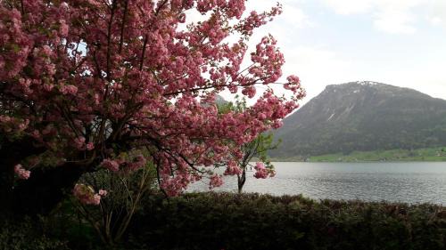 Sankt Wolfgang im Salzkammergut Apartment | Aberseeblick Pension Ellmauer