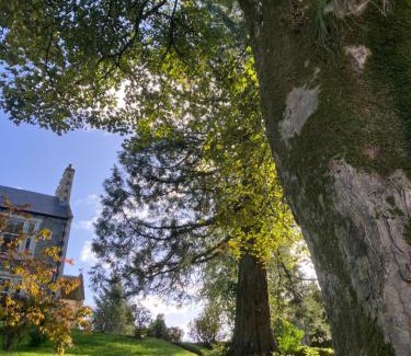Moffat House | Above & Beyond at Warriston Lodge