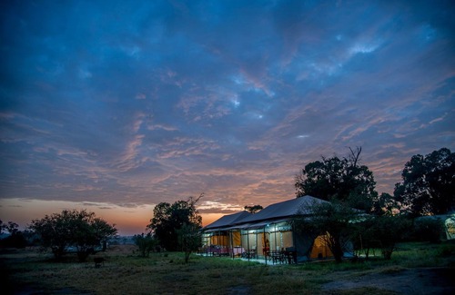 Sinoni Other | Acacia Migration Camp Ndutu