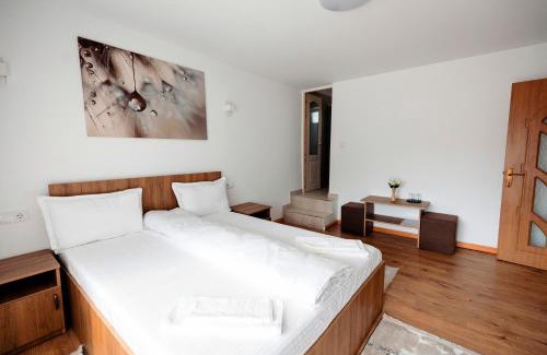 Sighetu Marmatiei House | Acasa La Lumei