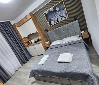 Onesti Apartment | AchiDav 133