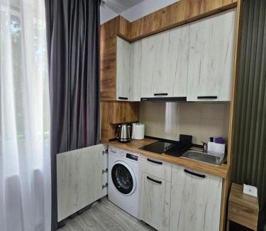 Onesti Apartment | AchiDav 133
