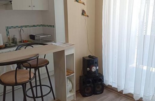 Pucon Apartment | Acogedor y cercanías