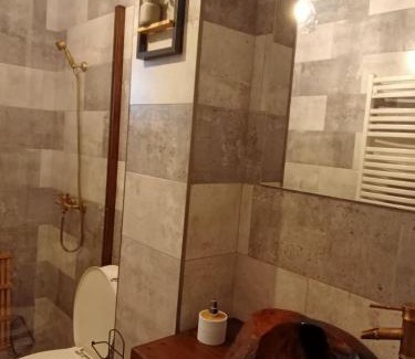 Dorna Candrenilor Villa | AD Caban