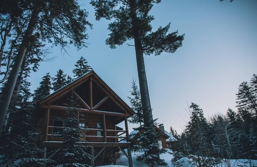 Monson House | ADA Cabin, Queen Bed, Double Bed, Private Bath