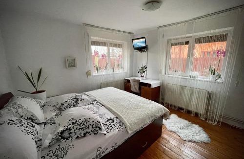 Craiova House | Ada-Ini House