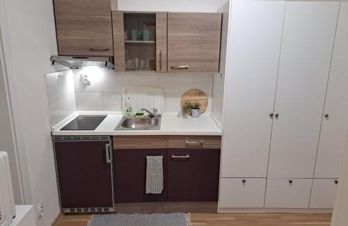 Juh Apartment | Adam apartmán