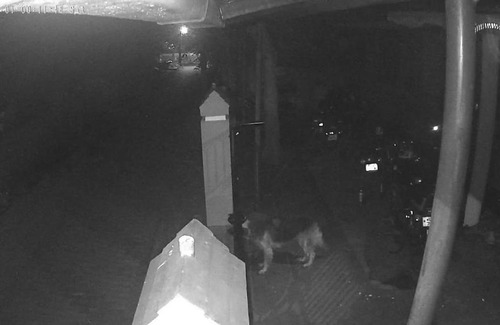 Thrissur House | Adarsh Villas