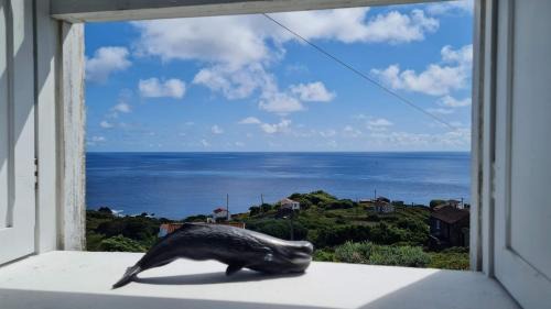 Calheta de Nesquim House | Adega da Figueira