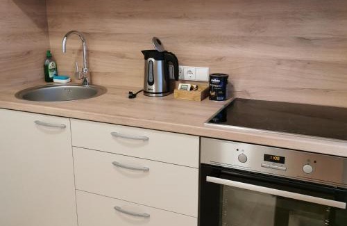 Druskininkai Apartment | Adelės apartamentai