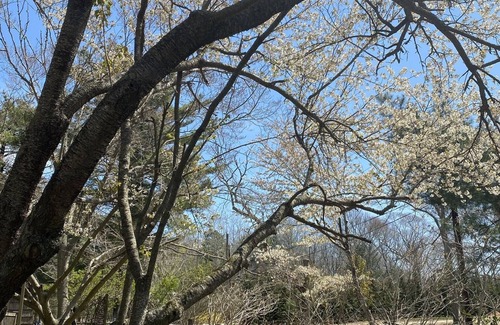 Amagansett North House | Adorable Amagansett Cottage, Walk to Town or Beach