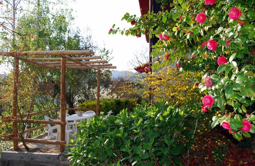 Deiva Marina Apartment | Adorable Garden House in the "5 Terre" tourist area CITRA CODE 011012-LT-0013