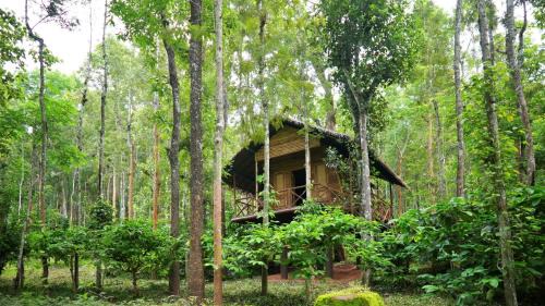 Sulthan Bathery Resort | Adrak Mountain Mist Forest Resort