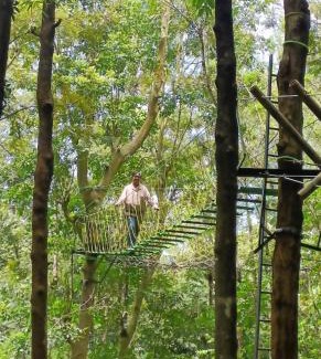 Sulthan Bathery Resort | Adrak Mountain Mist Forest Resort