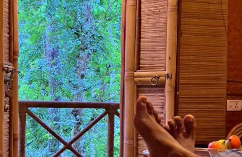 Sulthan Bathery Resort | Adrak Mountain Mist Forest Resort