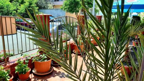 Nessebar House | Adri Guest House