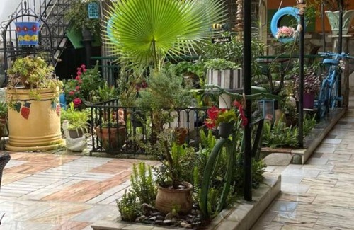 Anatolikos Sinikismos Apartment | Adrianas Garden of Eden Apartment