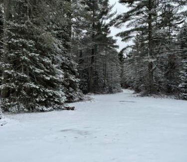 Michigamme House | Adventure Cabin on Lake Ruth