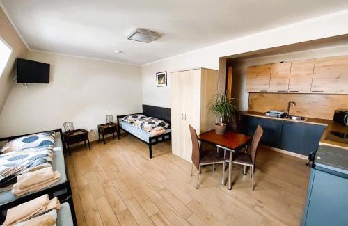 Ujazd Apartment | AE BERG Apartamenty