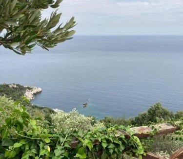 Tsagarada House | Aegean Whisper