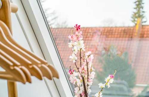 Ærø Municipality House | Ærø Guesthouse & Cafe