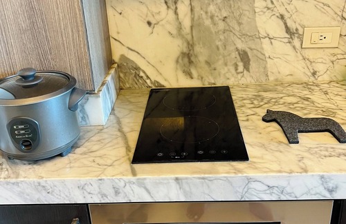 Santo Cristo Condo | Aesthetic fully furnished 1-bedroom condo in Quezon City, beside SM North Edsa