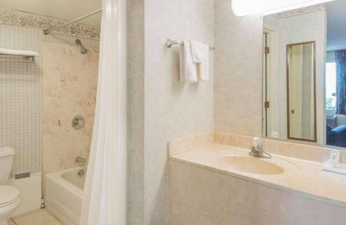 Berea House | Affordable Yet Fun! Pet-friendly, Breakfast and Parking Included