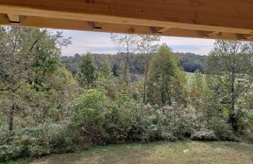 Athens Cabin | Aframe cabin in the woods #2