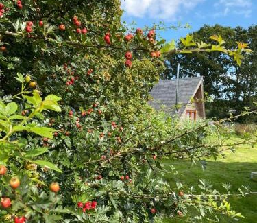 Newport Ski Chalet | Aframe Tiny Home SILVA with private hot tub