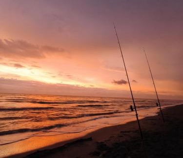 San-Nicolao Apartment | Agapanthe location