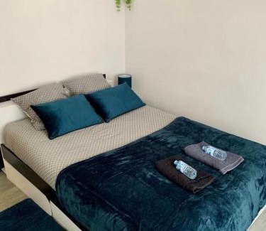 Forbach Apartment | Agréable appartement 2 pieces a forbach avec Garage fermé - check in autonome