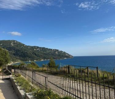 Agios Georgios Pagon Apartment | Agrilia Studios No 5