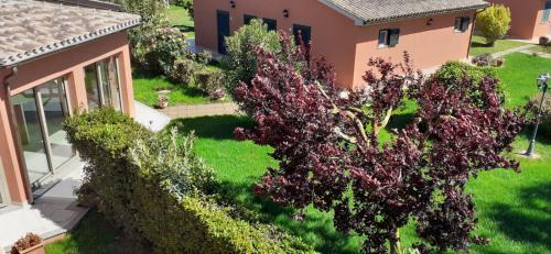 Capalbio House | Agriturismo Agrifoglio