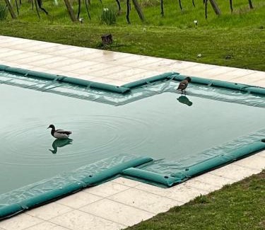 Colà Di Lazise House | Agriturismo Al Dugale