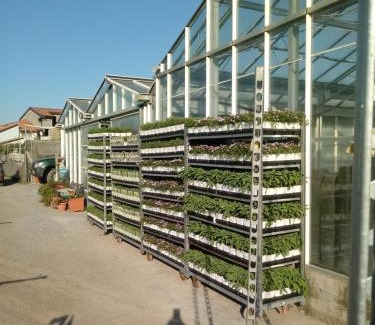 Albenga House | Agriturismo Alla Mal Parata