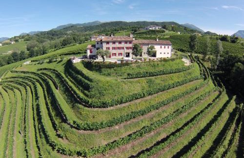 Vittorio Veneto House | Agriturismo Althea