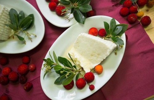 Alghero House | Agriturismo Barbagia