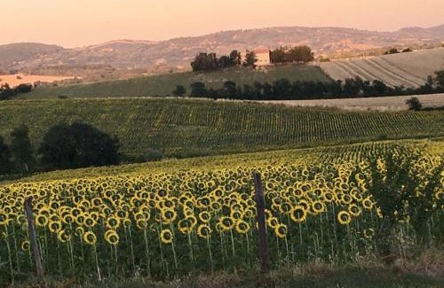 Manciano Apartment | Agriturismo Barbicate