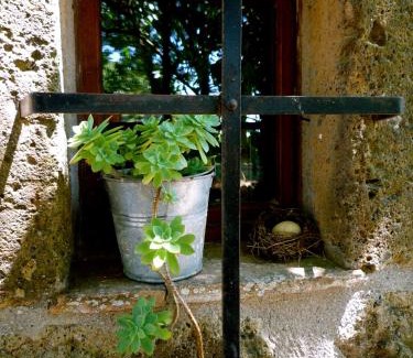 Sorano House | Agriturismo Biologico Sant'Egle