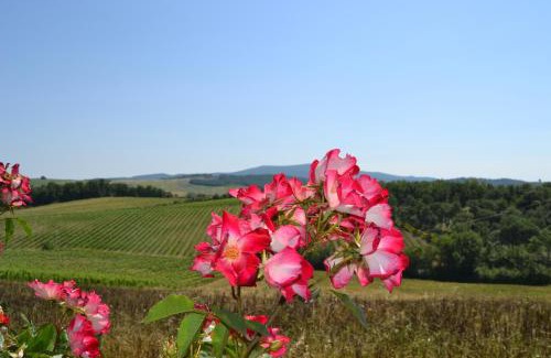 Cignan Bianco House | Agriturismo Cignanbianco