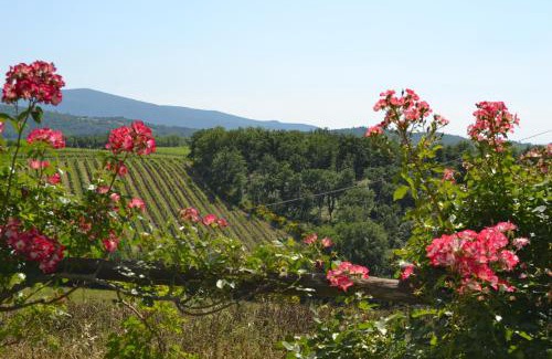 Cignan Bianco House | Agriturismo Cignanbianco