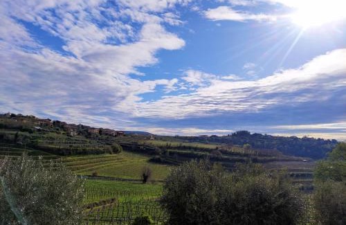 Colognola ai Colli House | Agriturismo CarpinoNero