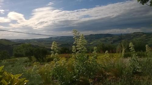 Atri House | Agriturismo Castelli In Aria