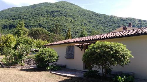 Trecchina House | Agriturismo Collevento