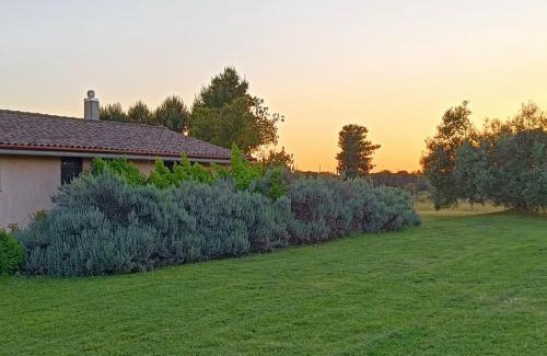 Lake Bracciano House | Agriturismo Fontelupo