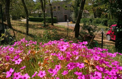 Castel Viscardo House | Agriturismo Il Cornalino