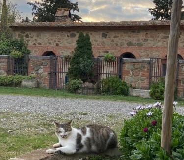 Castiglione d'Orcia Apartment | Agriturismo Il Pozzo