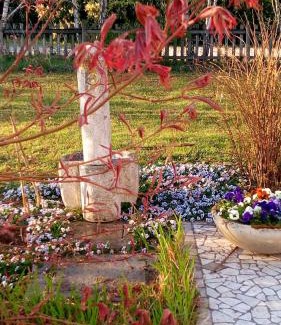 Cassola House | Agriturismo Il Magicorto